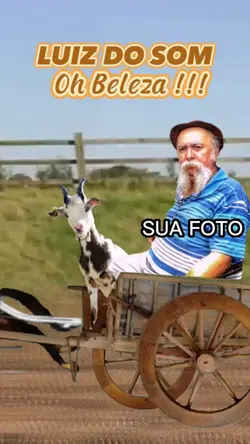 LUIZ DO SOM