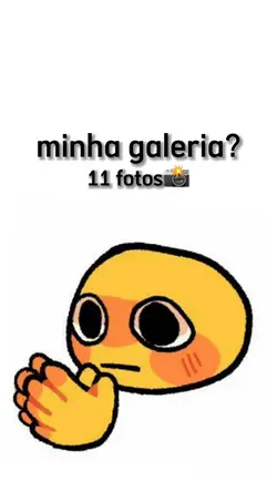 11 fotos galeria📸