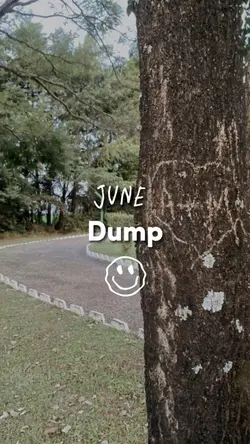 June dump