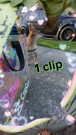 Watermelon ๐ Meme