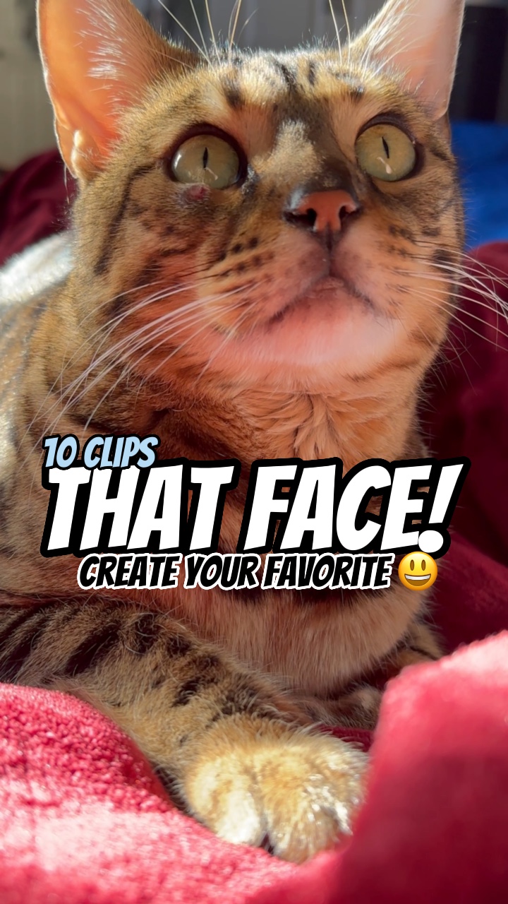 That face! 