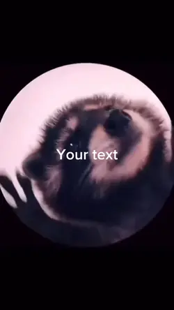 Lil raccoon vert