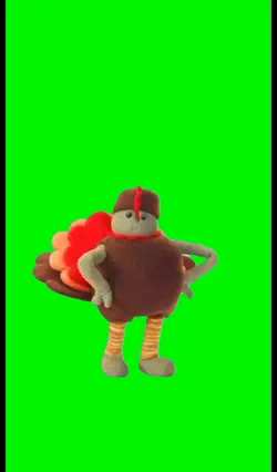Thanksgiving turkey 
