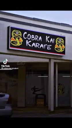 Cobra Kai π