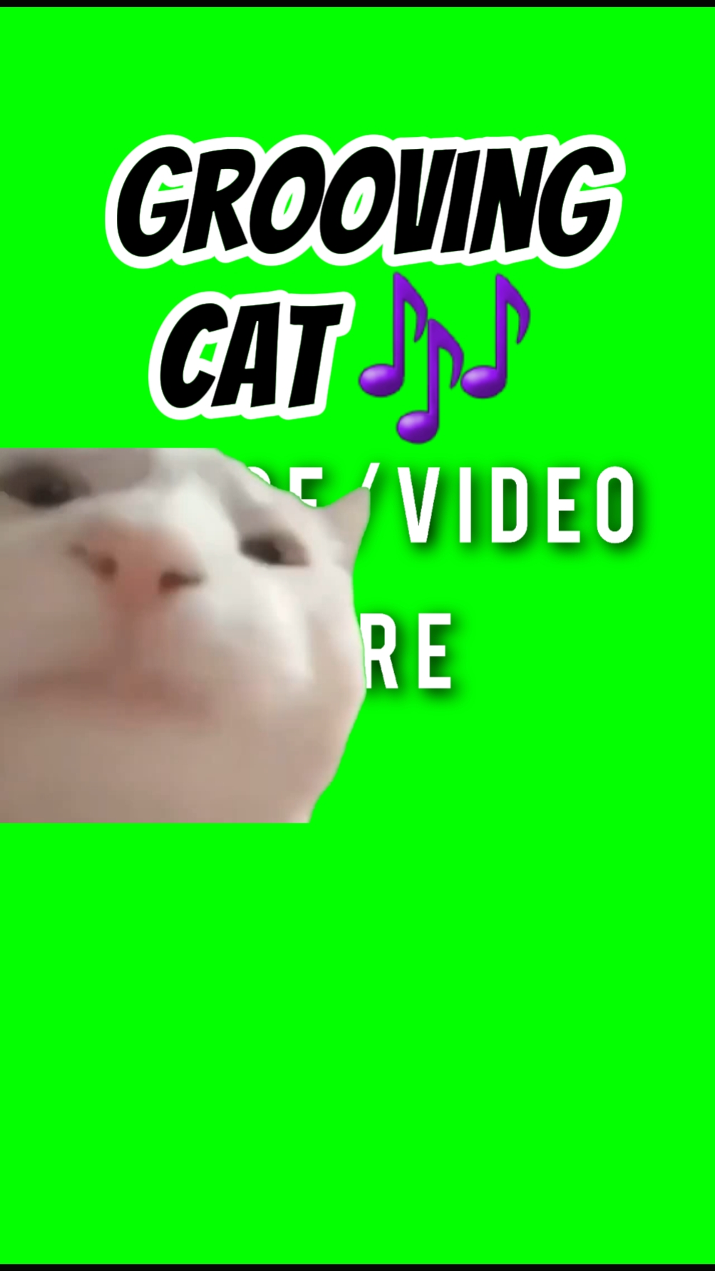 Grooving Cat