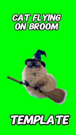 Cat flying on broom