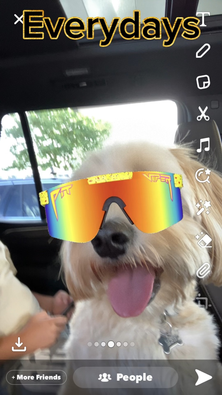 Plantilla de perro divertido