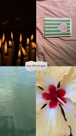 vídeos 2024 até agor