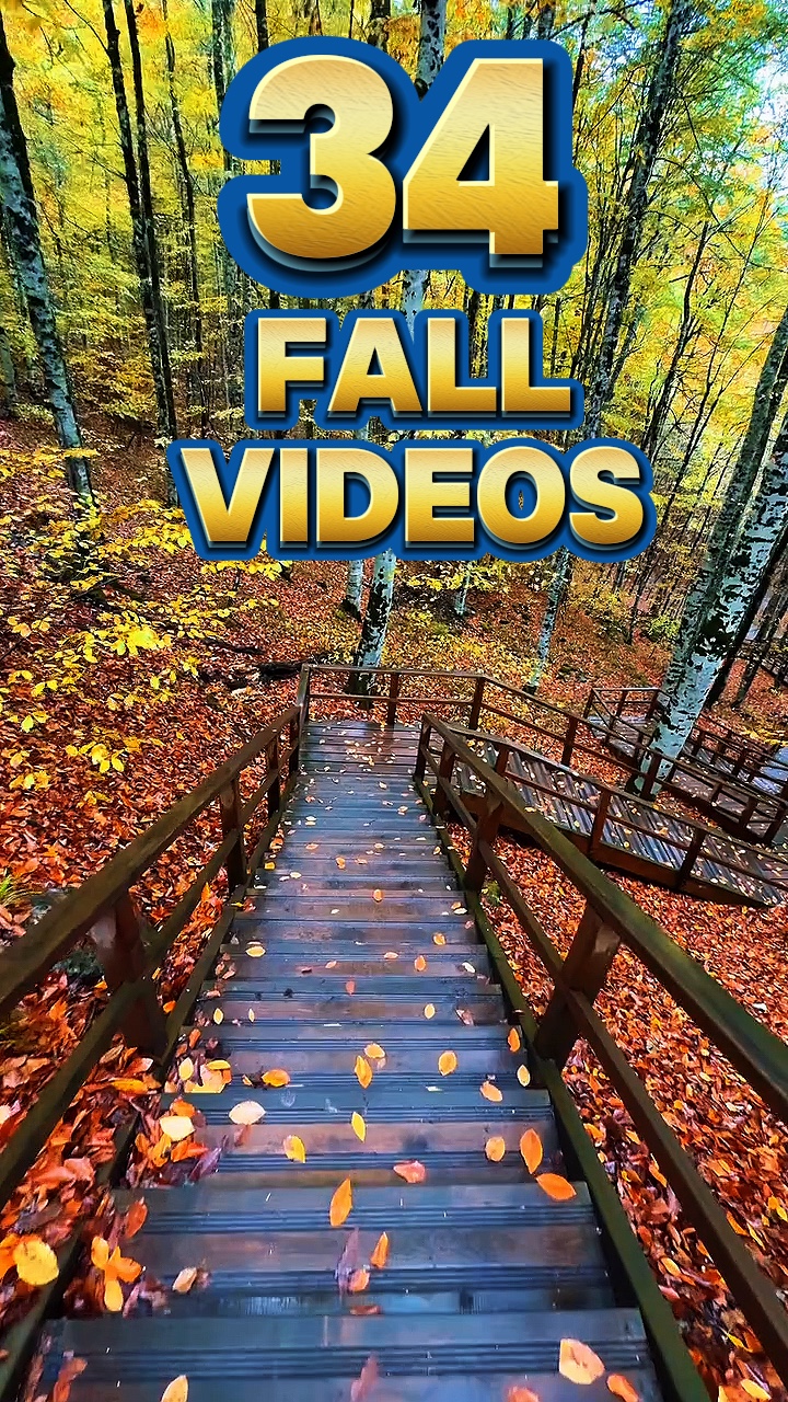 Fall season dump