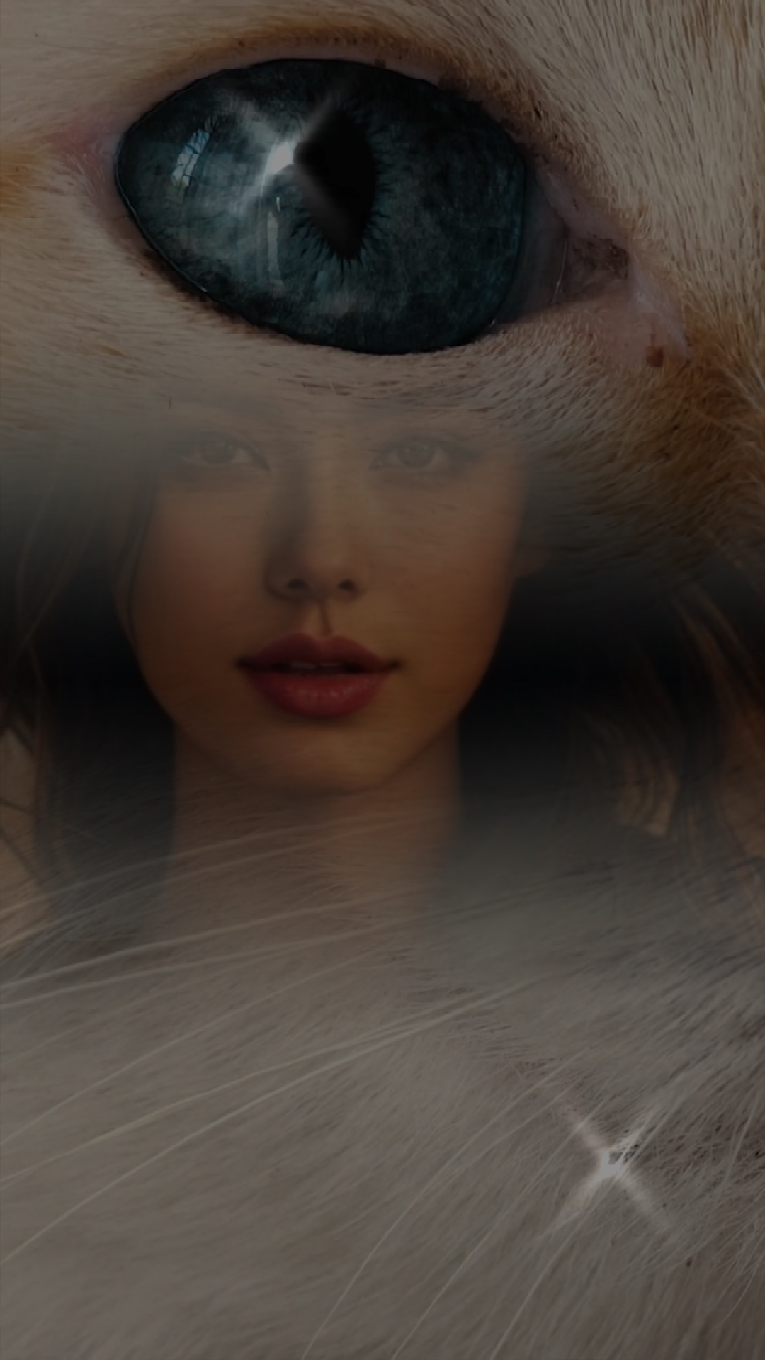 Catoverlay y efectos