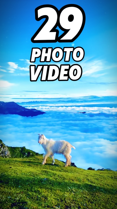 29 clip or photo 