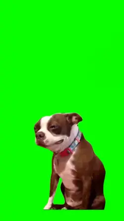 Crying Dog.