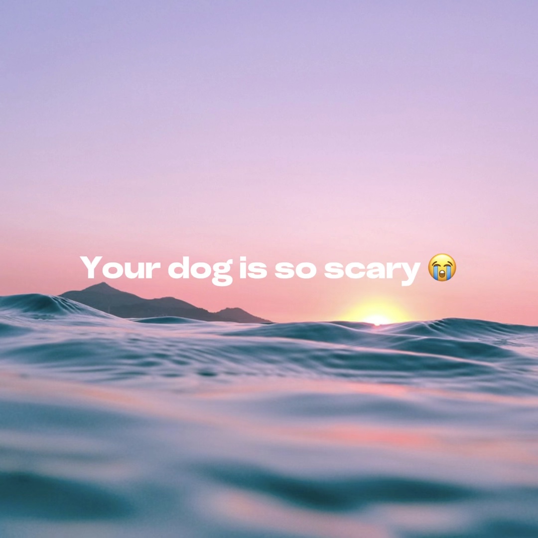 Ihr Hund ist unheimlich