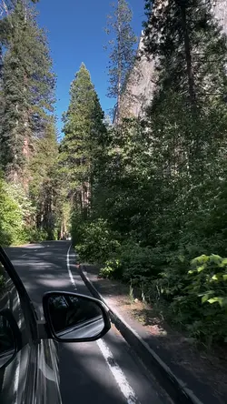 Road trip