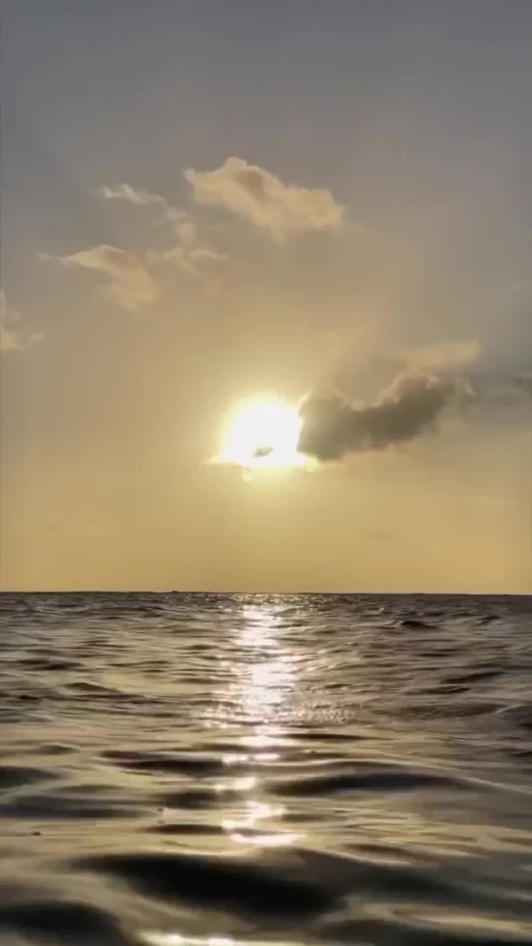 Paglipat ng kamay 