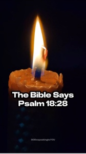 Psalms 18:28