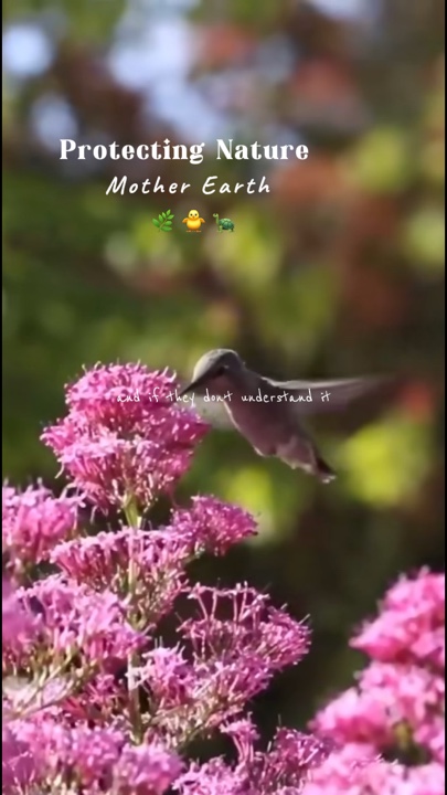 Proteger la naturaleza 