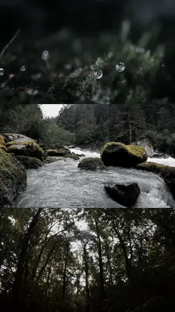 Piano + Nature 🎹