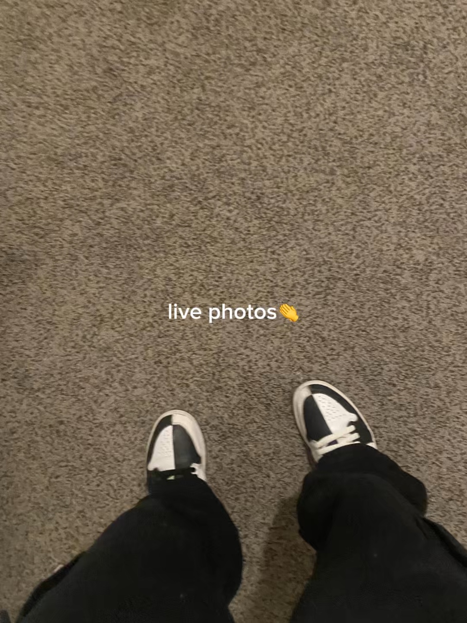 liveee photoosss