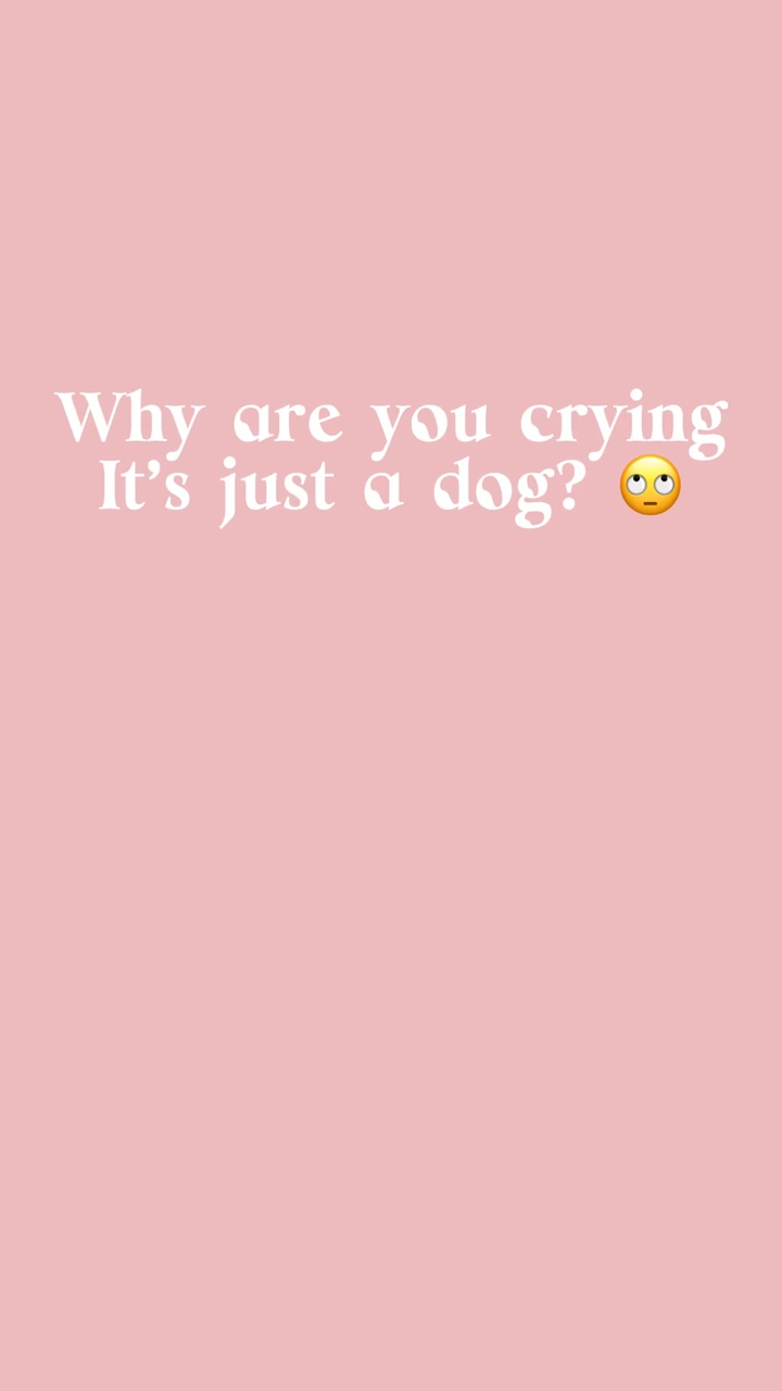 Sadece bir köpek mi?