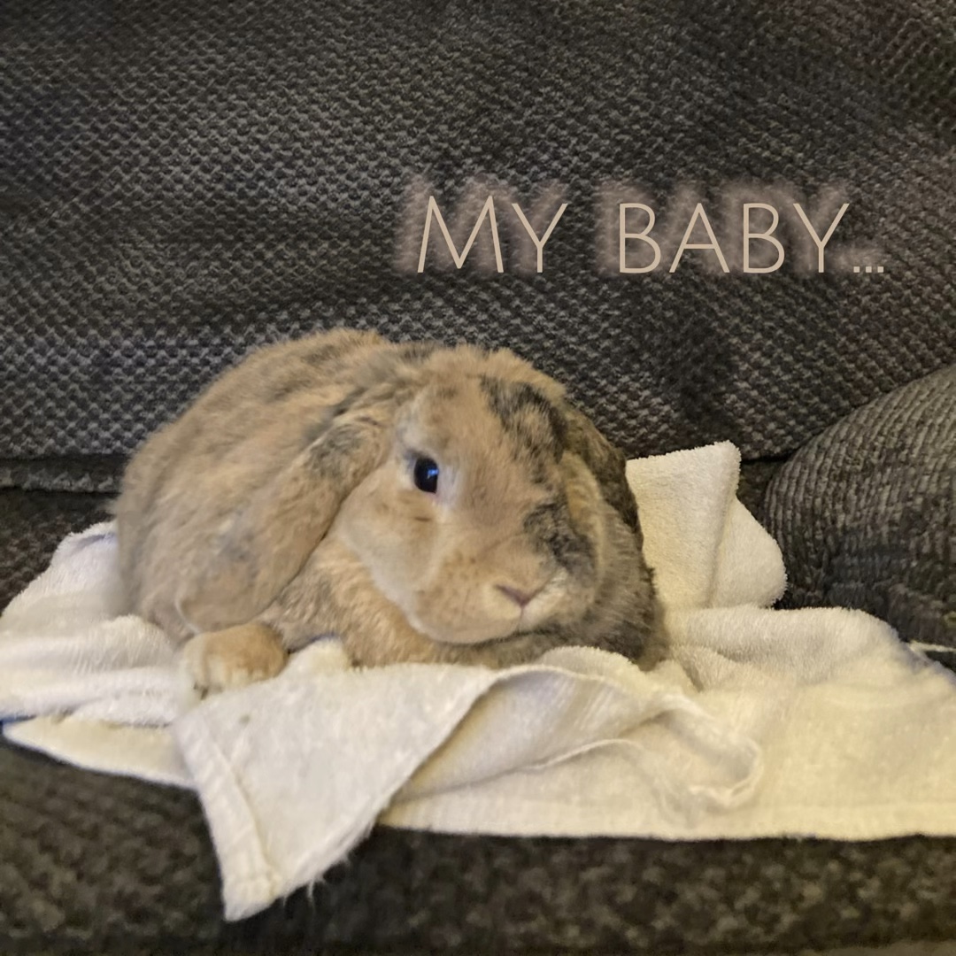 My baby…