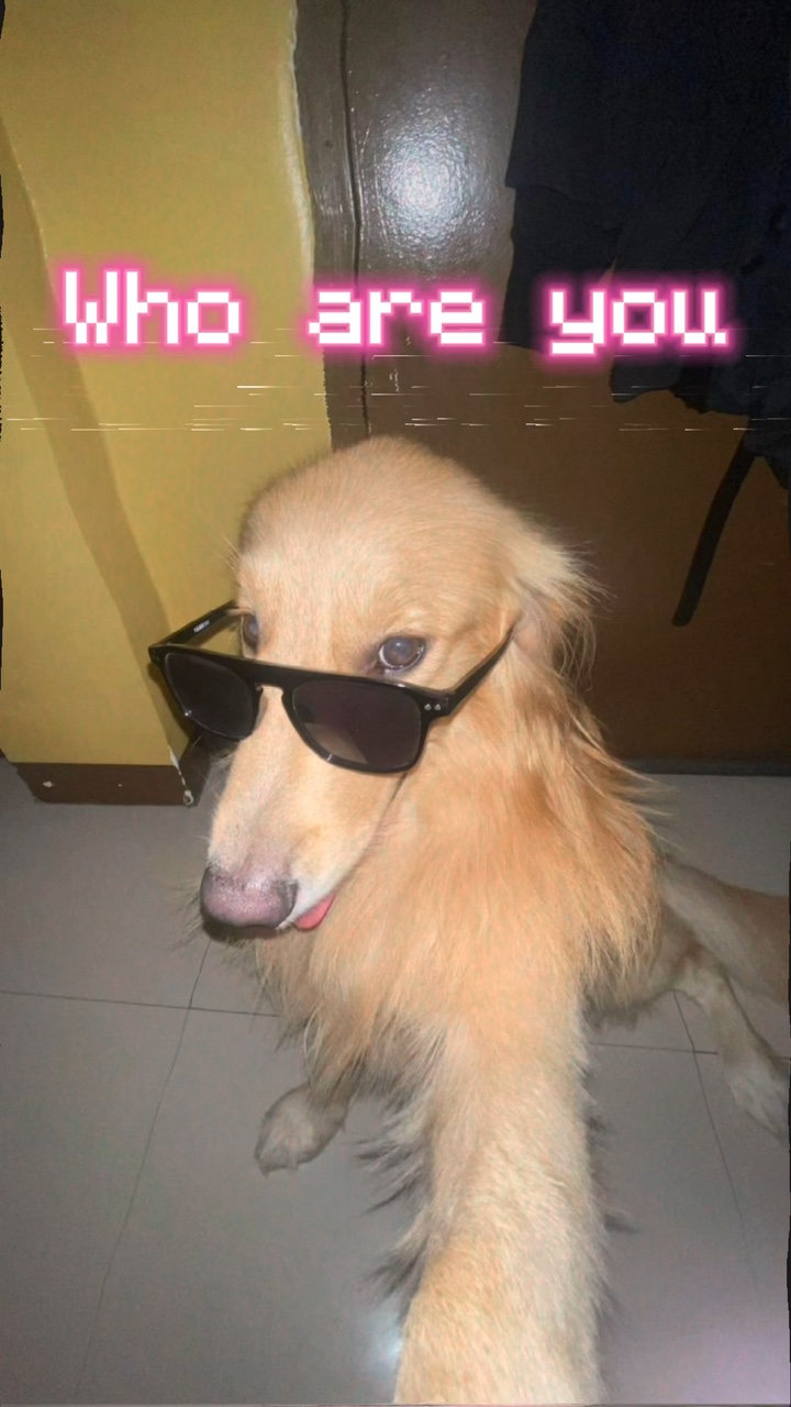 ¿Quién eres? 