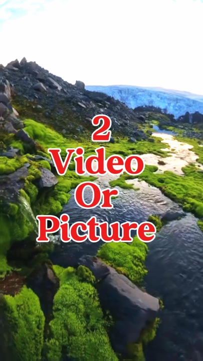 2 video or picture 