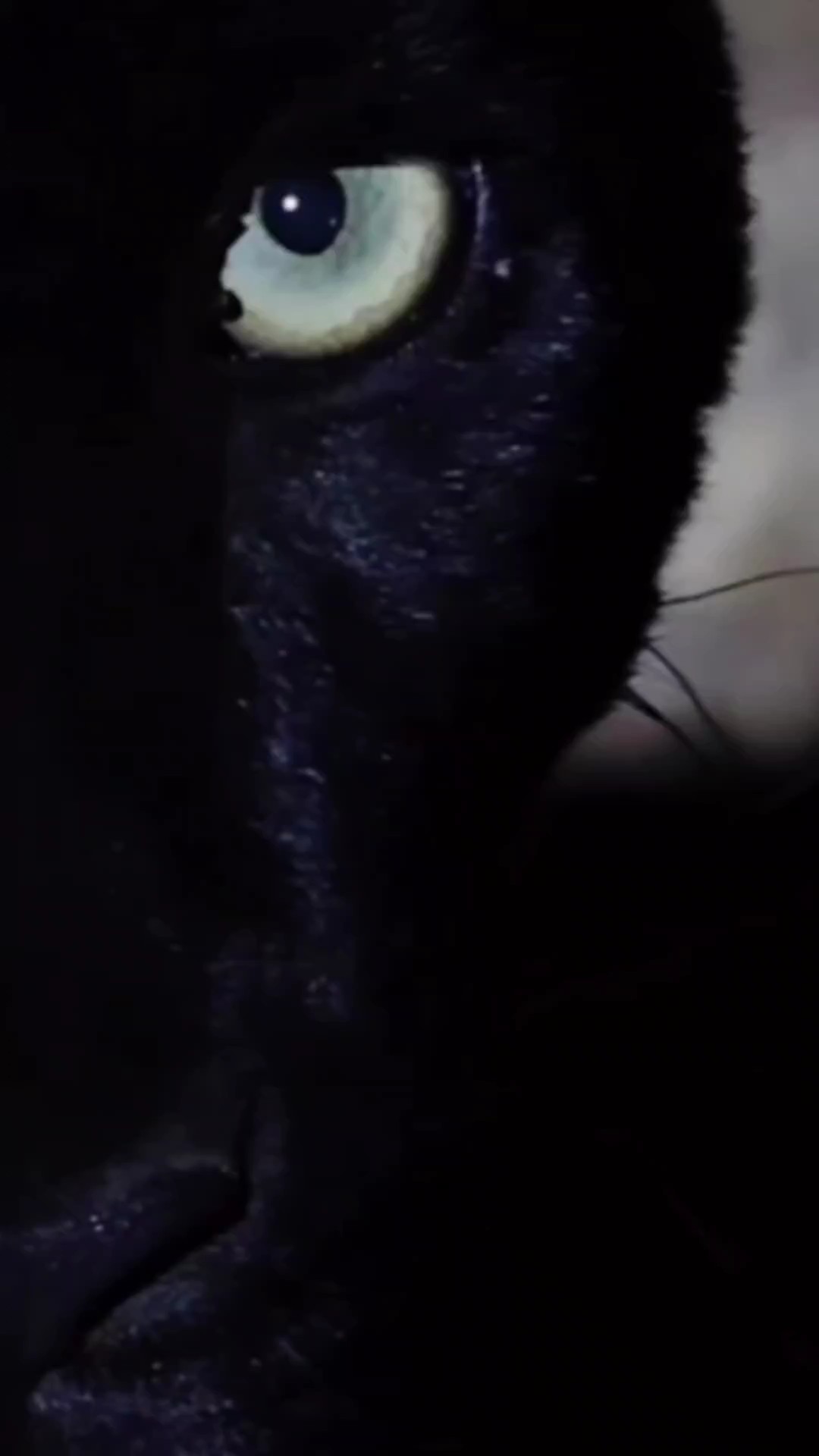 I'm watching YOU
