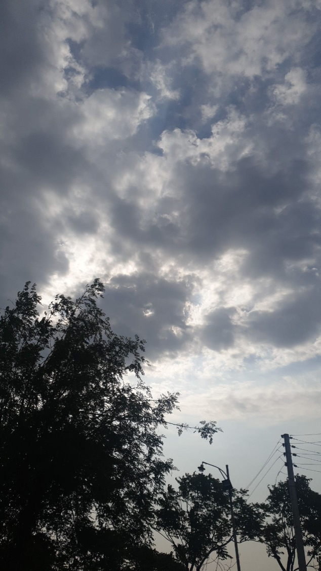 Edición del cielo