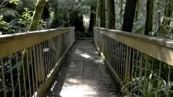 Park Garden 