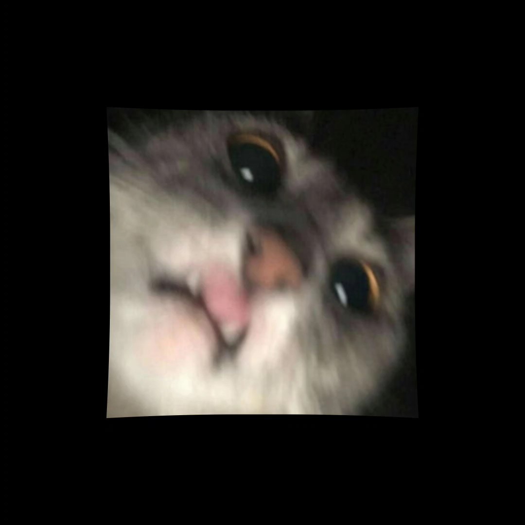 cat keyframes