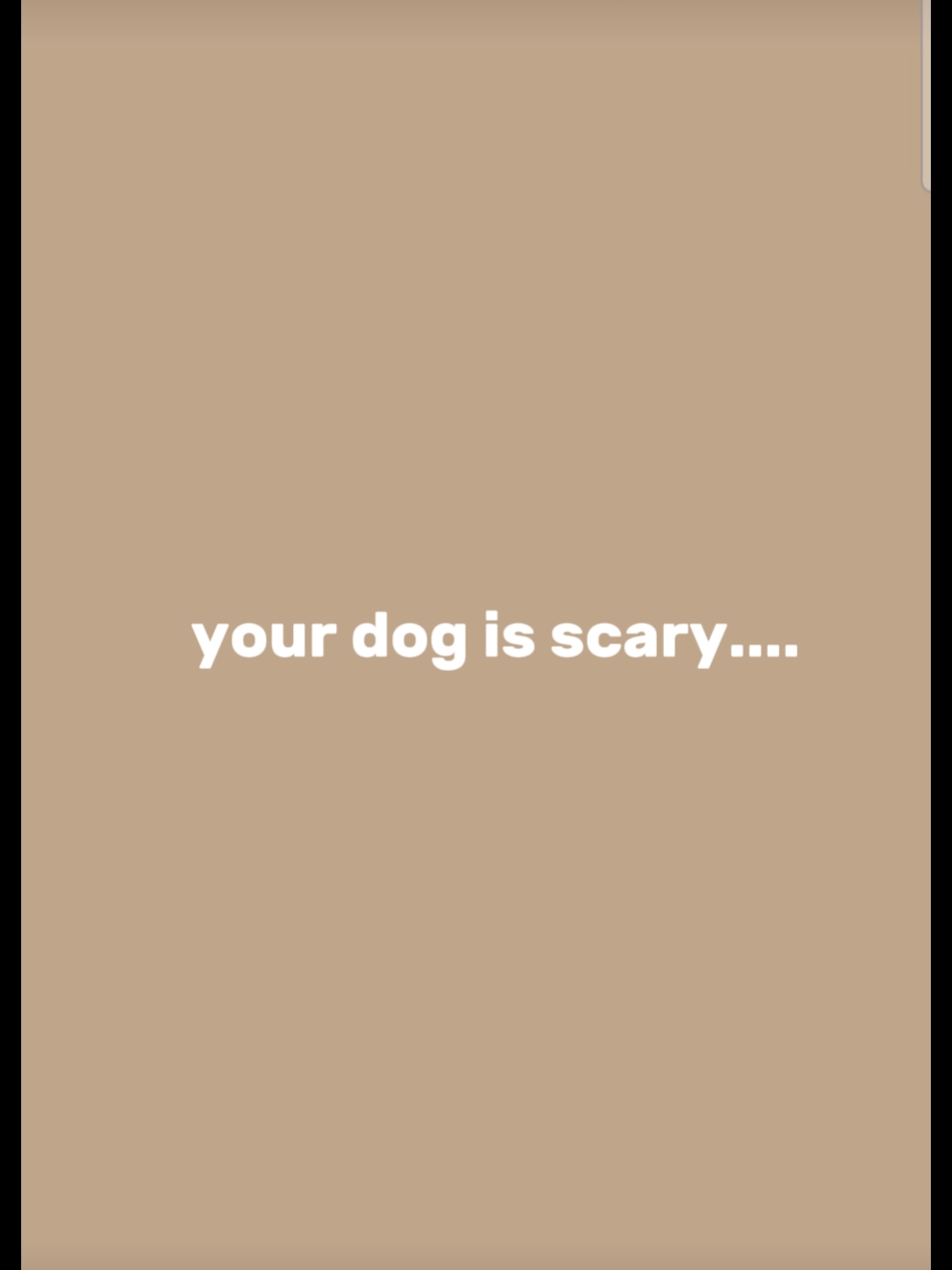 My dog?