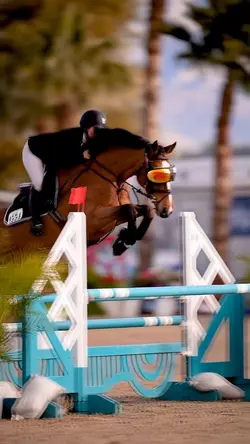 HORSE W SUNGLASSES😻✨