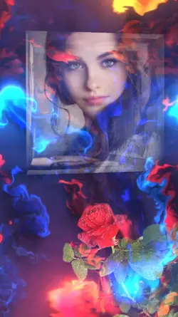 Colors & rose