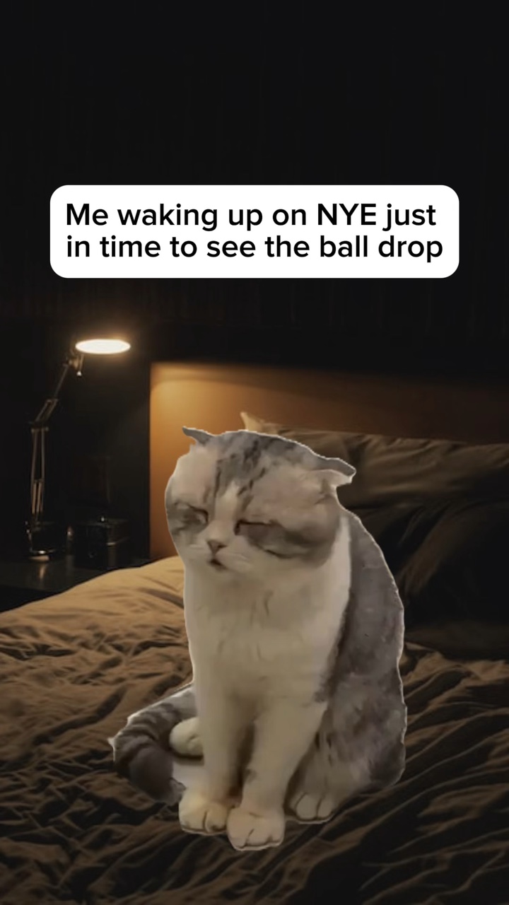 Uykulu Kedi Meme