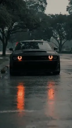 CAR | 3VIDEO