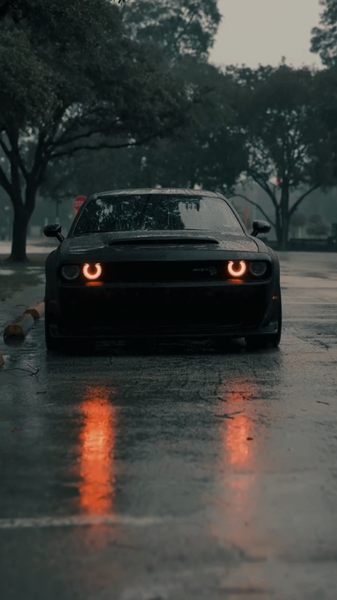 COCHE | 3VIDEO