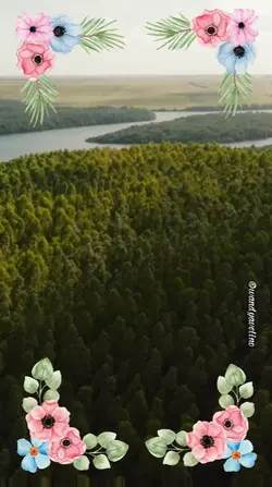 Bom dia
