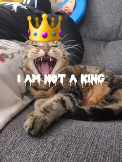 I am not a king