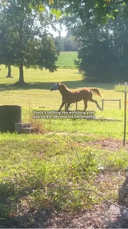 He has a big-