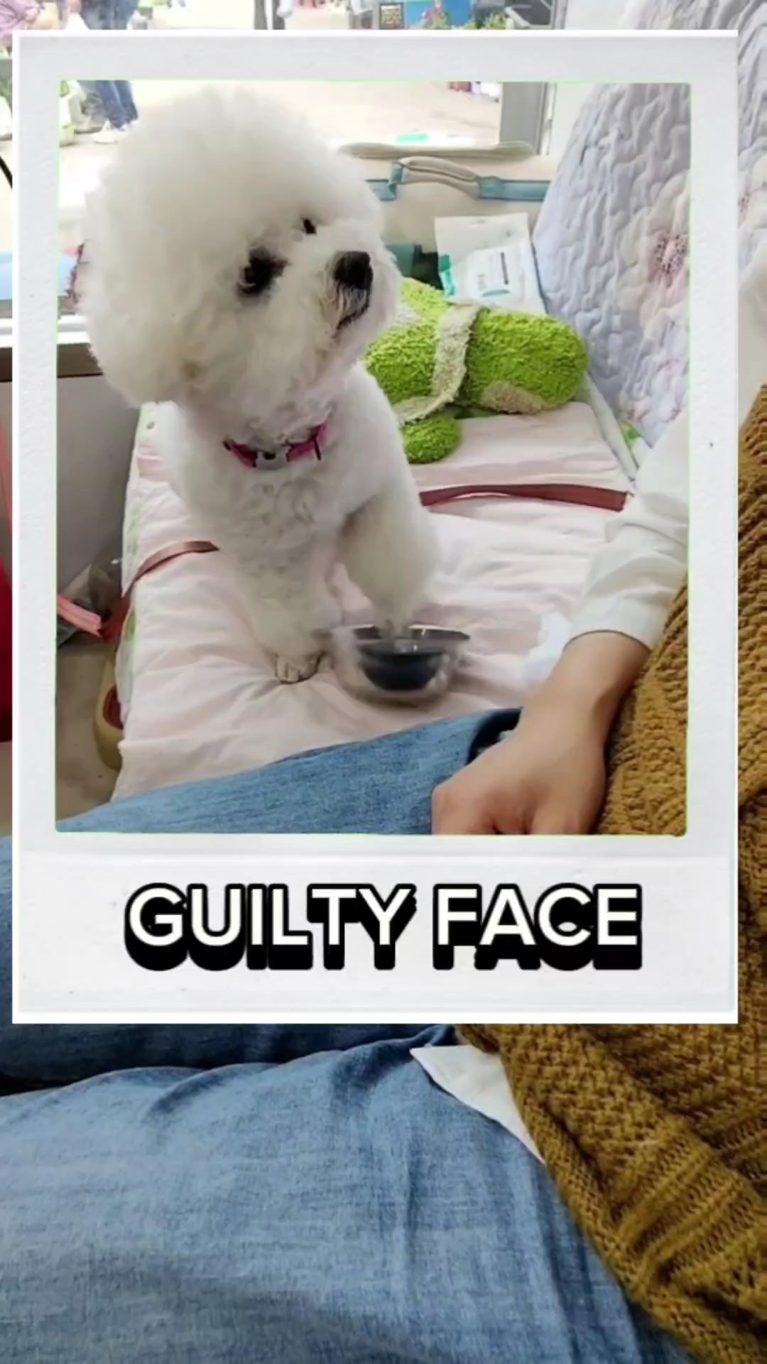 GUILTY SOUND 116