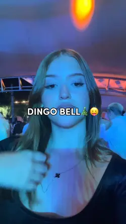 DINGO BELL 🎄