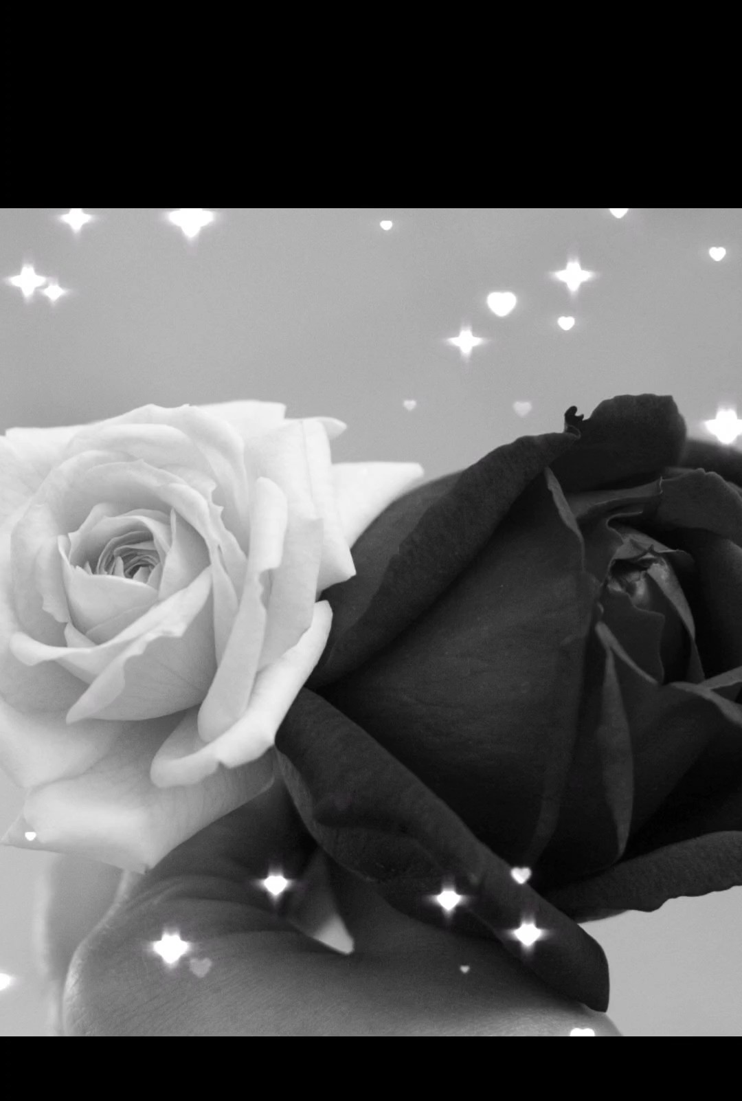 black & white