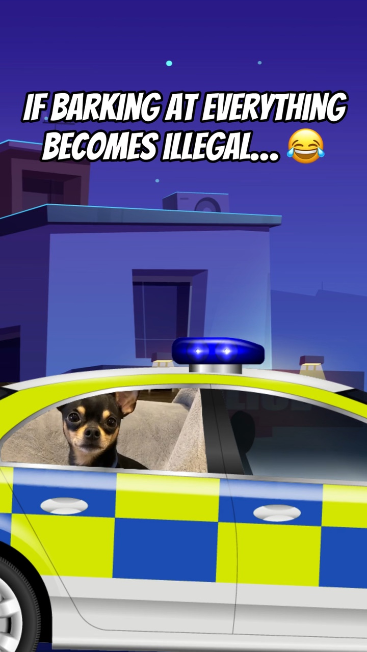 Carro De Polícia