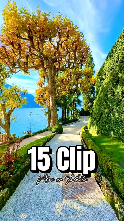 Video Template 