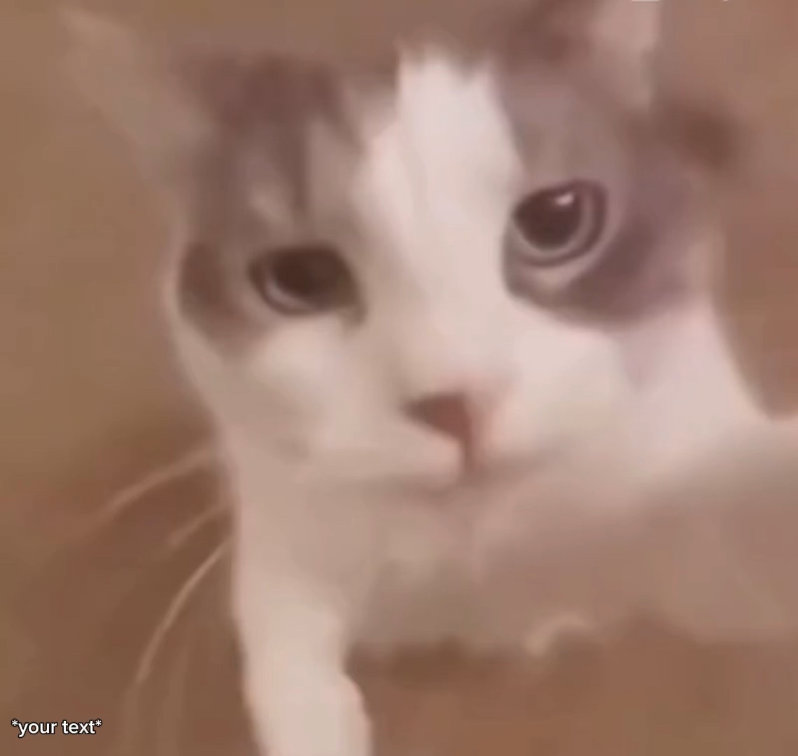 Kedi Meme