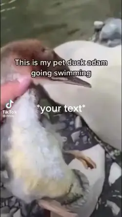 ADAAAAAAMMM
