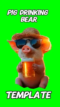 Pig drinking bear