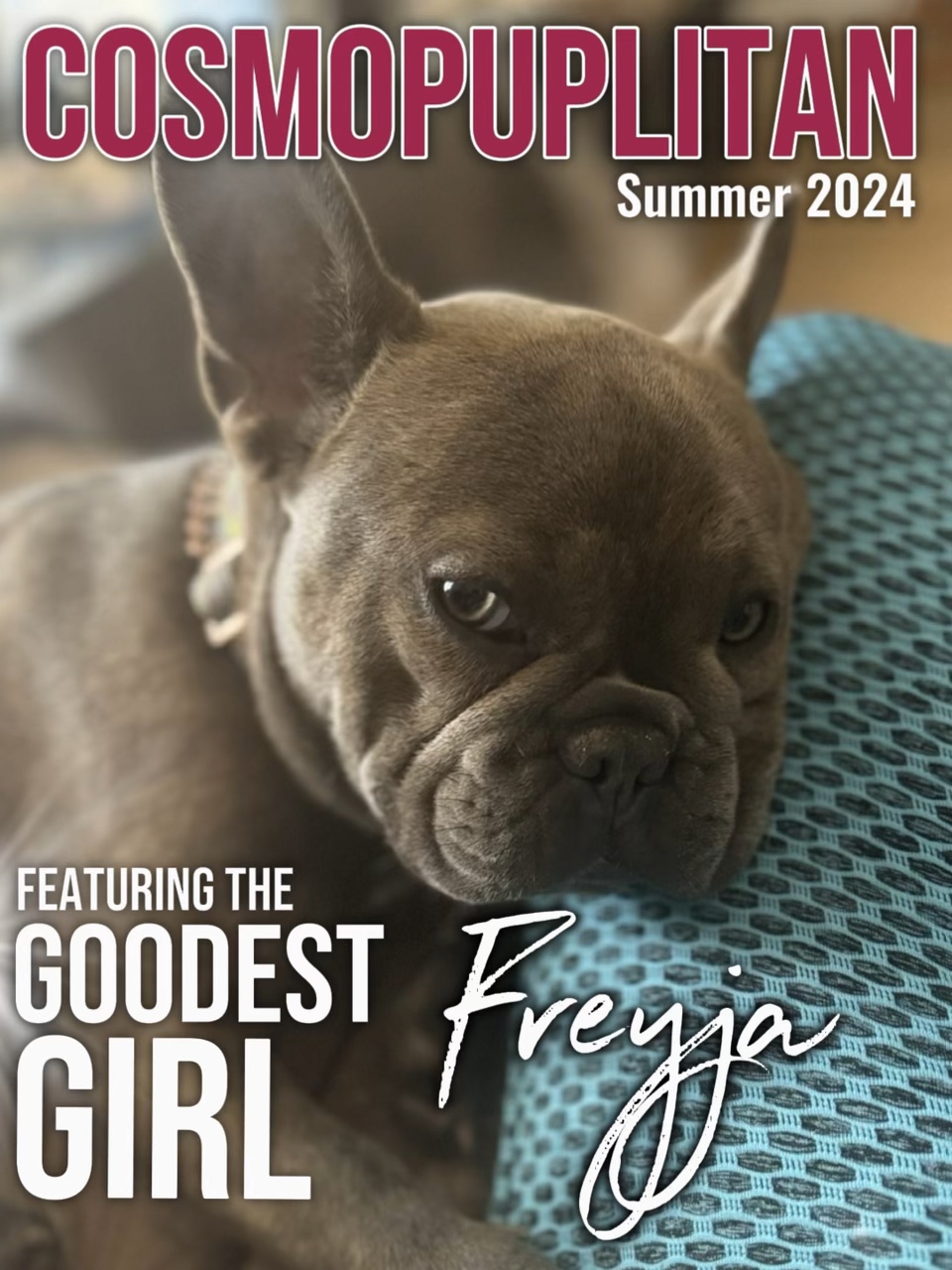 Cosmopuplitan Mag2,0