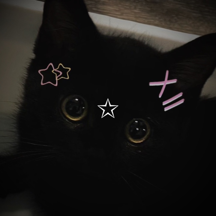 kara kedi